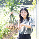 安田さんの農薬未使用新生姜1kg
