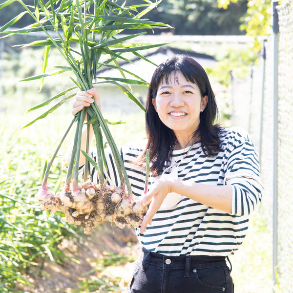 安田さんの農薬未使用新生姜1kg