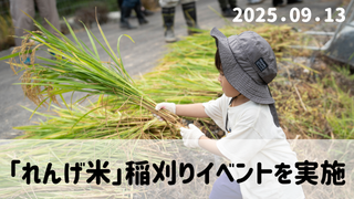 「誰かの田んぼをみんなの田んぼに」日高町小浦区でれんげ米の稲刈りを実施