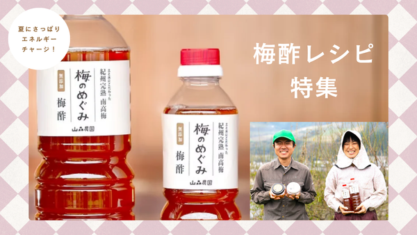 梅酢の魅力を引き出す！簡単＆ヘルシーな夏レシピ特集
