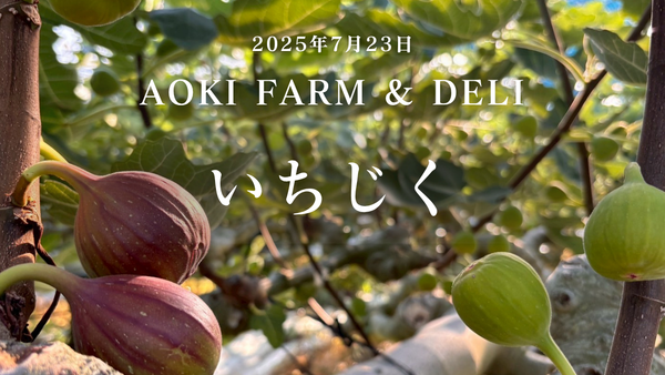 いちじくは追熟しないって本当？AOKI FARM ＆ DELIのハウス栽培に見る、“今だけの美味しさ”の届け方
