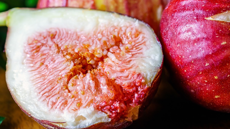 いちじくのおはなし