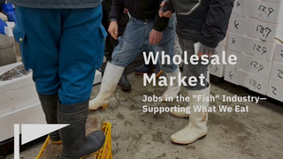 【スタッフ訪問レポート】和歌山県中央卸売市場「せり」見学 〜早朝3時、熱気渦巻く魚のプロたちの世界〜