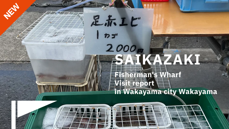 【実録】和歌山のアマルフィ、雑賀崎の「船買い」見学レポ