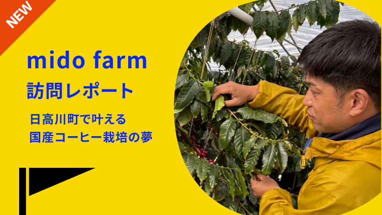 【ストーリー】日高川町で国産コーヒー栽培に挑戦するmido farm