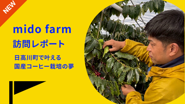 【ストーリー】日高川町で国産コーヒー栽培に挑戦するmido farm
