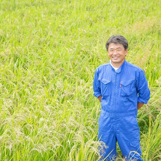 【期間限定】かたやま農園のヨモギ生葉　250g~