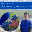 お取り寄せ 紀のファームのブルーベリー 約600g(100g×6パック)
