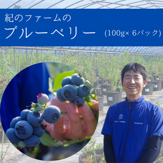 お取り寄せ 紀のファームのブルーベリー 約600g(100g×6パック)