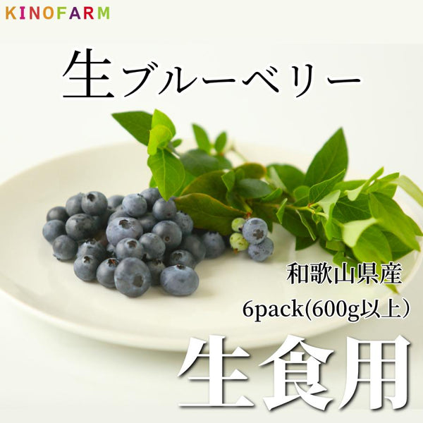 お取り寄せ 紀のファームのブルーベリー 約600g(100g×6パック)