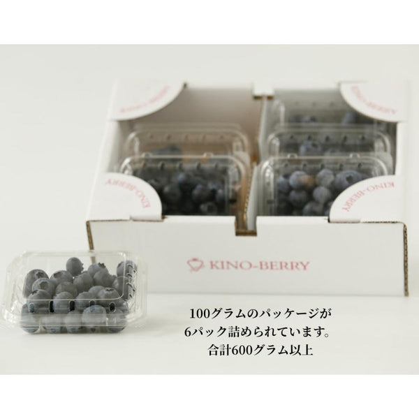 お取り寄せ 紀のファームのブルーベリー 約600g(100g×6パック)