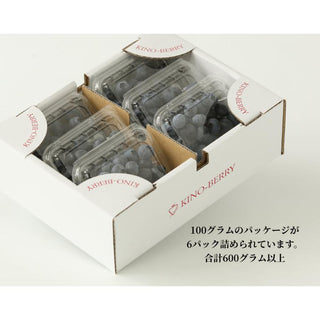 お取り寄せ 紀のファームのブルーベリー 約600g(100g×6パック)