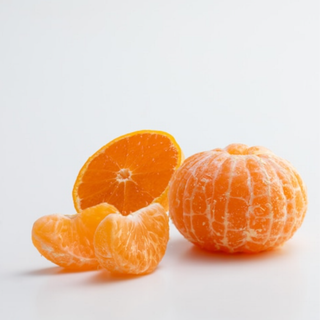 【予約商品】佐康園の頑固みかん「宮川早生」5㎏～