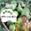紀の川雑草レモン農園Plusの自然栽培グリーンレモン2㎏～（農薬・化学肥料・除草剤未使用）