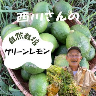 紀の川雑草レモン農園Plusの自然栽培グリーンレモン2㎏～（農薬・化学肥料・除草剤未使用）