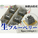 お取り寄せ 紀のファームのブルーベリー 1080g (180g×6パック)
