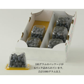 お取り寄せ 紀のファームのブルーベリー 1080g (180g×6パック)