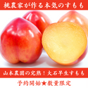 山本農園の完熟！大石早生すもも1.3kg～