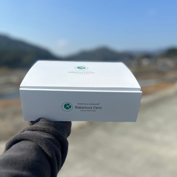 【食べ比べ】ミニトマト各種1kg 合計2kg