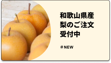 和歌山県産梨の受付開始