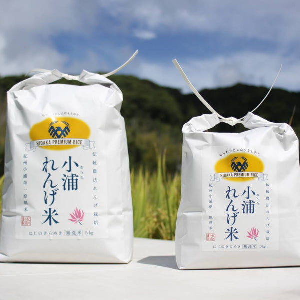 【新米】2026年度産！日高町小浦の無洗米「小浦れんげ米」3kg~