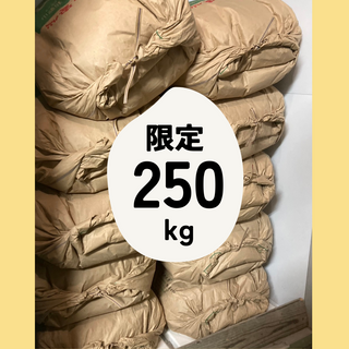 【売り尽くし！限定250kg】精米したてをお届け *慣行栽培キヌヒカリ 2kg～