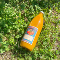 佐康園の頑固みかんジュース 1,000ml~
