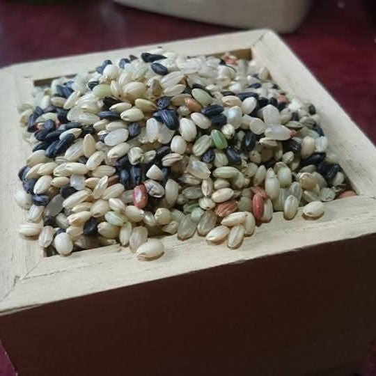 かたやま農園の自然栽培の黒米・5色米セット 各300g~