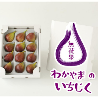 お取り寄せ 紀のファームのイチジク 約1kg(12玉入)