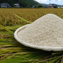 2025年度産！世界遺産熊野古道で育てたお米「熊野米」5kg
