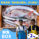 箕島漁港の漁師さんから直送！紀州金比羅丸の鮮魚BOX【2kg詰め合わせ】