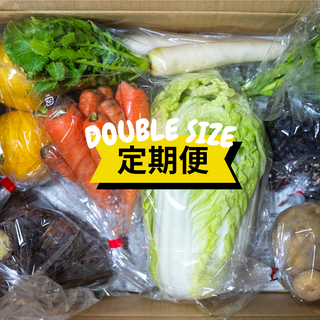 【定期便（隔週）】紀州農レンジャー野菜BOX_Wサイズ！