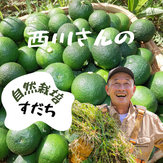 紀の川雑草レモン農園Plusの自然栽培 すだち2㎏（農薬・化学肥料・除草剤未使用）