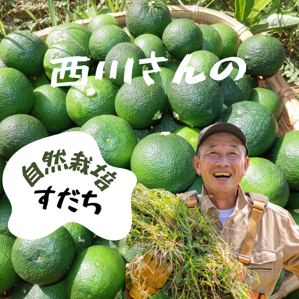 紀の川雑草レモン農園Plusの自然栽培 すだち2㎏（農薬・化学肥料・除草剤未使用）