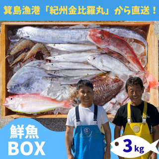 箕島漁港の漁師さんから直送！紀州金比羅丸の鮮魚BOX【3kg詰め合わせ】