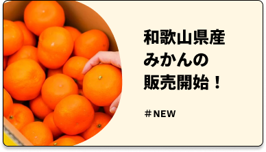 和歌山県産みかんの箱買いはこちら