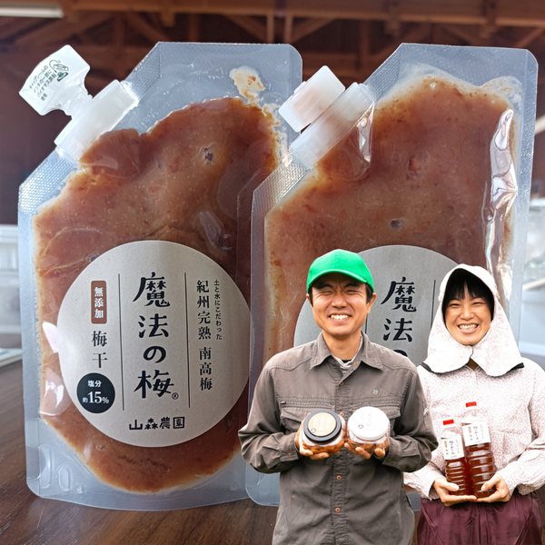 【無添加】山森農園の選べる組み合わせ 梅肉2パックセット