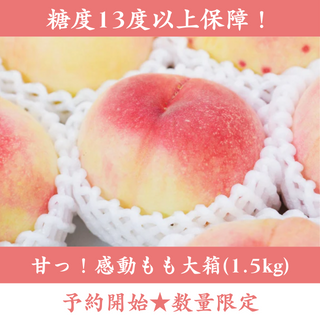 糖度13度以上保障！甘っ！感動もも大箱(1.5kg)