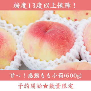 糖度13度以上保障！甘っ！感動もも小箱(600g)