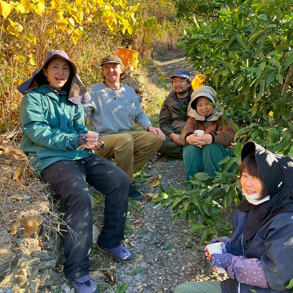 【12月中旬～出荷開始】下津の中西園のみかん 5kg