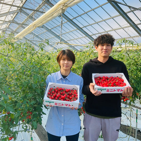 名産地からお届け！房付き高糖度ミニトマト (1.4kg)