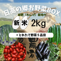 【限定200箱】11月から新米お届け開始！日高の郷お野菜BOX（れんげ米2kg入り）