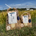 2025年度産！日高町小浦の無洗米「小浦れんげ米」3kg~