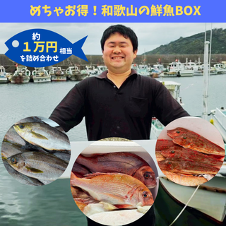 めちゃお得！和歌山の産地直送鮮魚BOX (約1万円分・3種以上詰め合わせ)