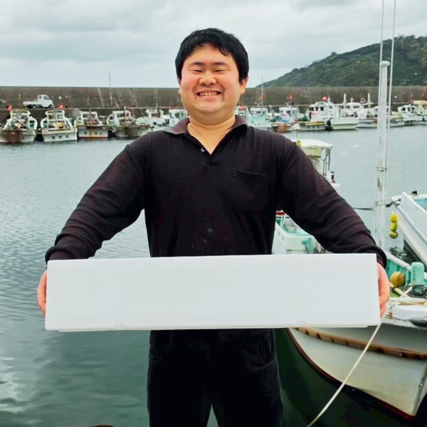 めちゃお得！和歌山の産地直送鮮魚BOX (約1万円分・3種以上詰め合わせ)