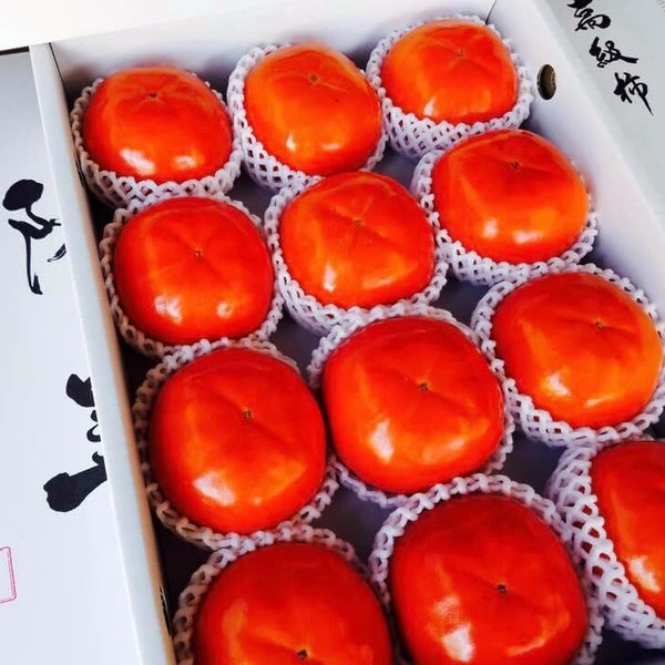 【11月半ばから発送開始】幻の種なし甘柿！道上農園の「陽豊柿」12玉/13玉（代引き不可）