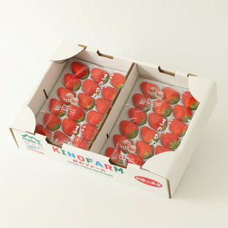 お徳用！紀のファームのまりひめ苺2パック合計700g