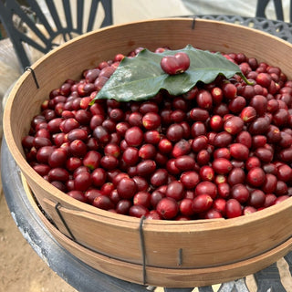 A Cup of Support Project