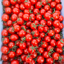 名産地からお届け！高糖度ミニトマト (1.8kg)