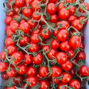 名産地からお届け！房付き高糖度ミニトマト (1.4kg)